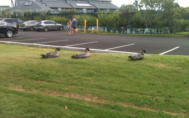 The Cliffs at Princeville