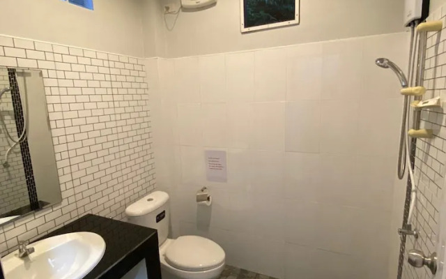 Brown Andaman  Krabi