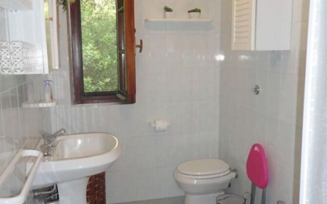 Splendid Relaxing Stay in the Tuscan Countryside