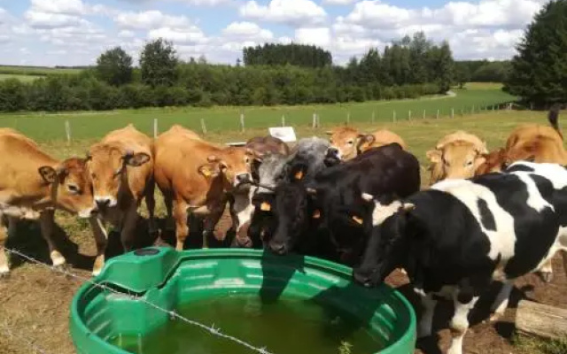 La Ferme Oubliée