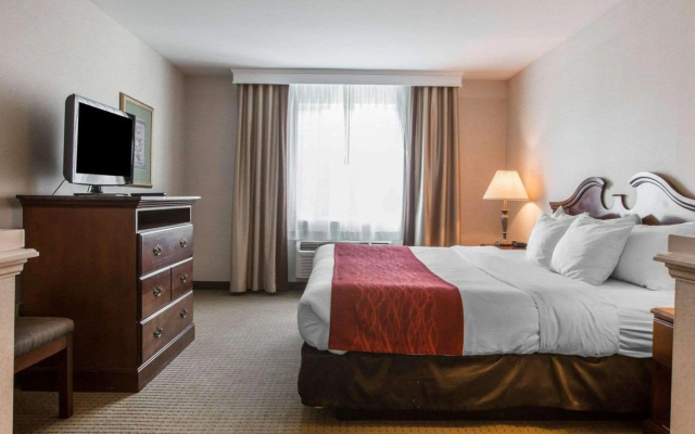 Comfort Inn & Suites East Greenbush - Albany