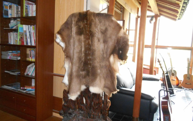 kinugawaonsen Fukumatsu