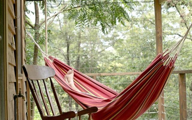 Bluegums Cabins Barrington Tops