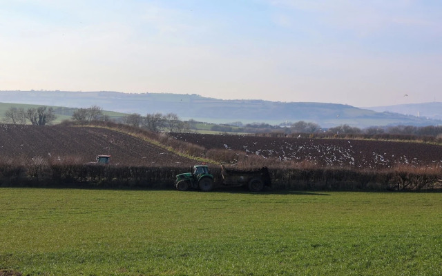 The Old Dairy, Ellerby