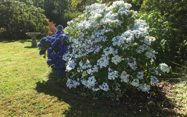 Pa Road B&B Kerikeri NZ