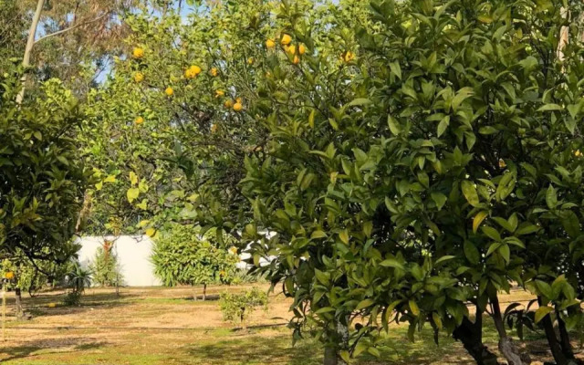 Quinta Verde Albufeira