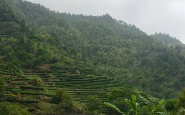 Nanjing Tulou Maoyuan Inn