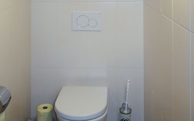 Burg Biedenegg Niedermontani Flie