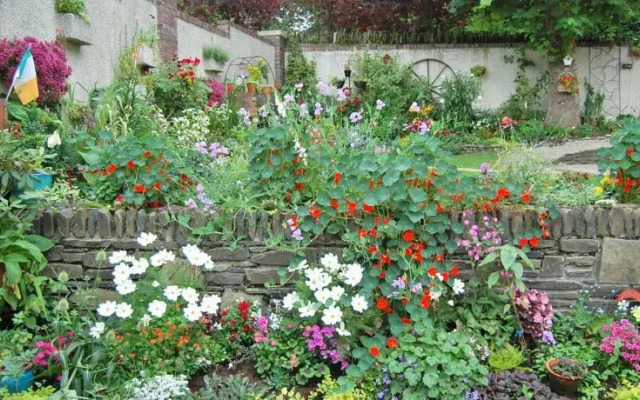 Tinnycross House B&B