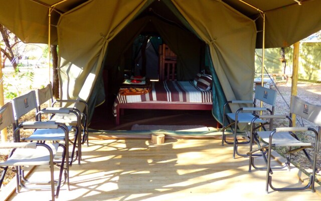 Thorn Tree Bush Camp