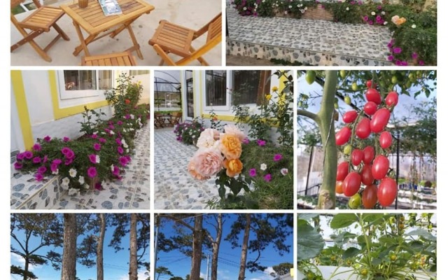 Vuon Nha Dan Homestay