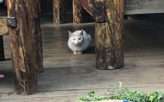 Xiao Yin Xiao Ju Inn