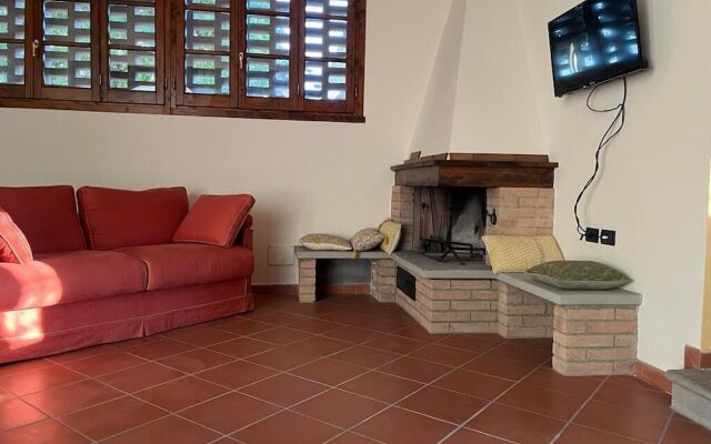 Gatto Bianco Tizzauli