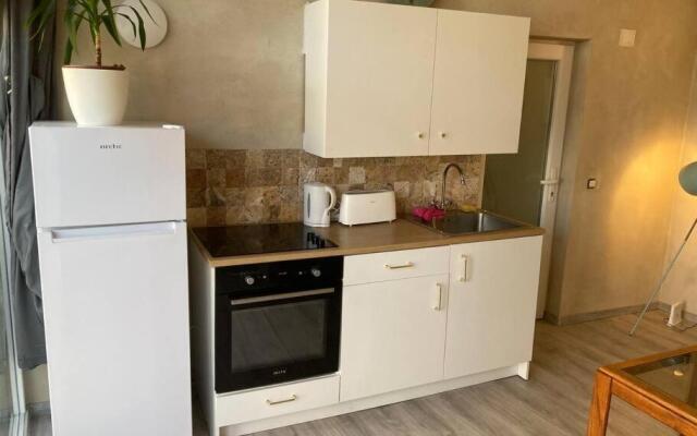 Tiny house -central- Timișoara