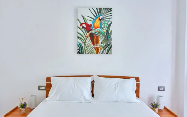 Apartamente Nord 10