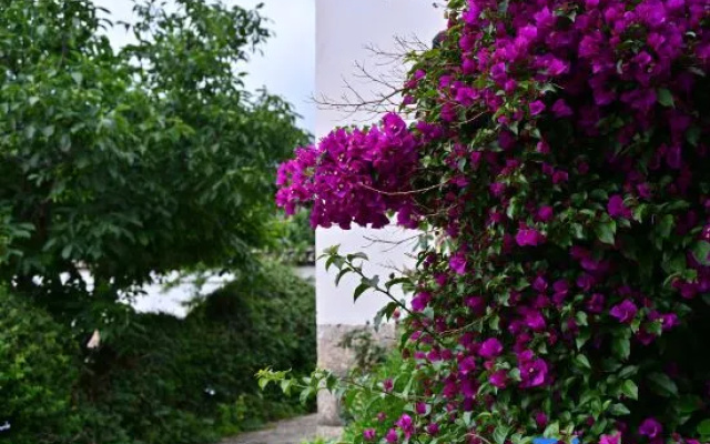 Xiaoshan Yue Homestay (Baisha Ancient Town)
