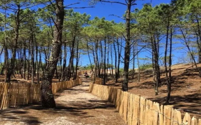 Beautiful House in Lacanau Near sea