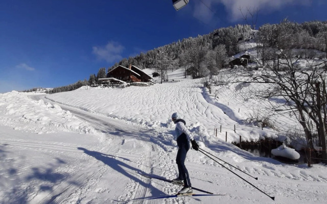 Karis Sch r Lenk in Lenk