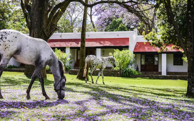 Ngare Sero Mountain Lodge