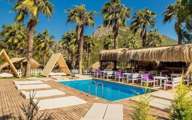 The Hill Glamping