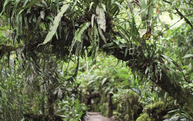 Sanctuary Lodge, A Belmond Hotel, Machu Picchu