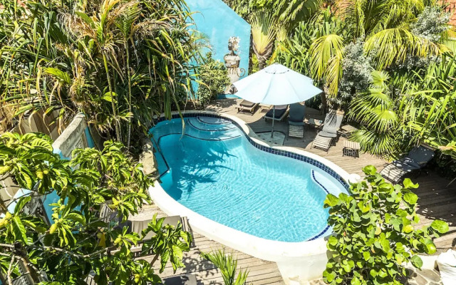 Pietermaai Tropical Vibes