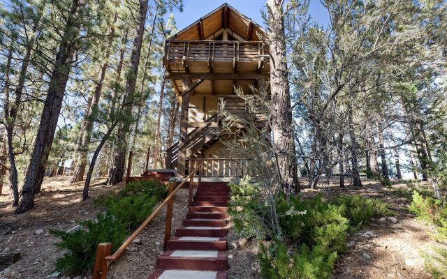 TreeHouse on Rainbow