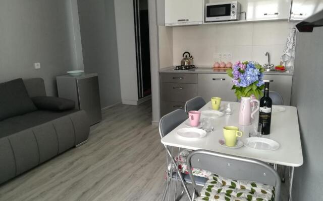 Apartament in Real Pealce in Batumi