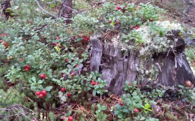 Guest house Dlya Gostey