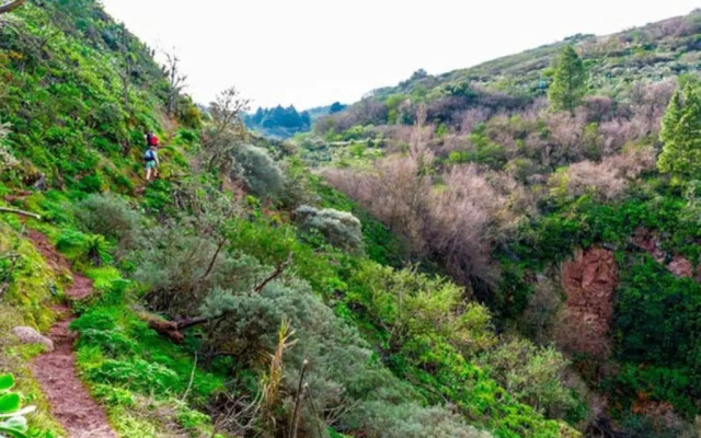 Villa La Veguetilla en San Mateo