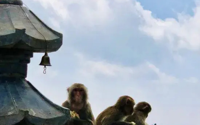 Summerfield Mountain Lodge · Dali Old Town