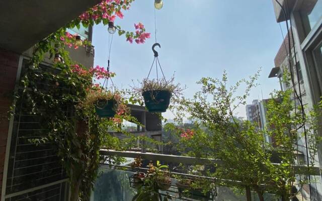 Beautiful 2-bed Apartment in Dhaka