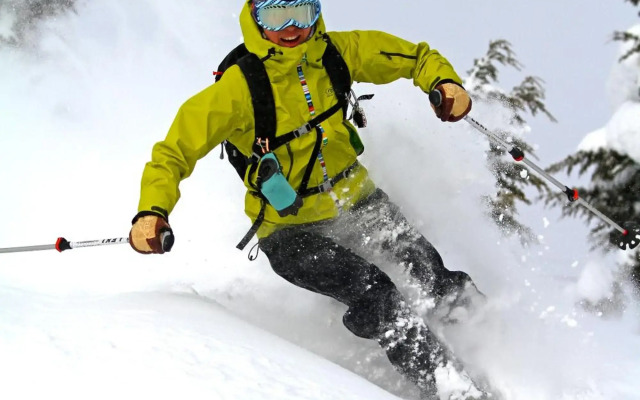 Hotel Grand Phenix Okushiga