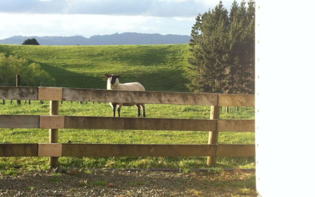 Mangawhai Retreat Apartments