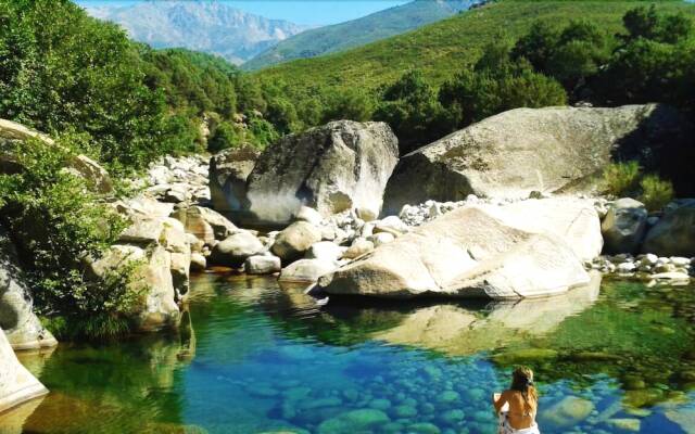 Complejo Camping La Mata