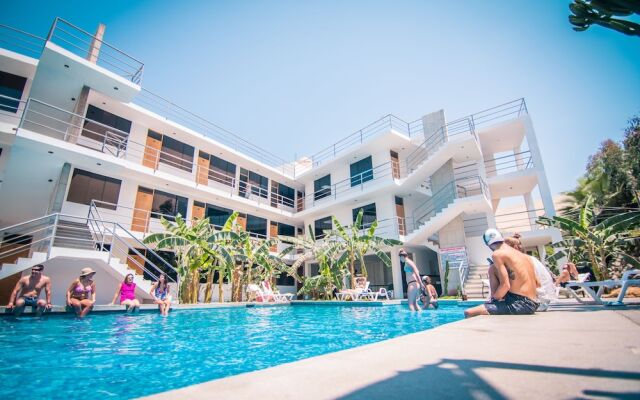 Carola Lodge