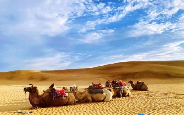 Zhongwei Mogang Starry Sky International Desert Campground