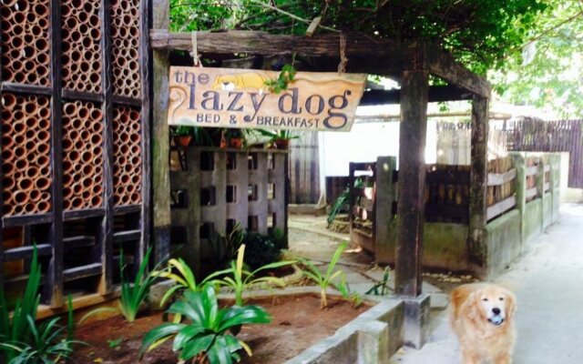 The Lazy Dog Bed & Breakfast