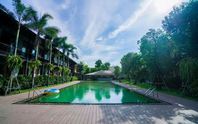 The Buffalo Amphawa (SHA Plus)