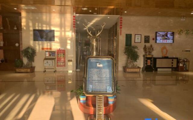 Xixia International Hotel