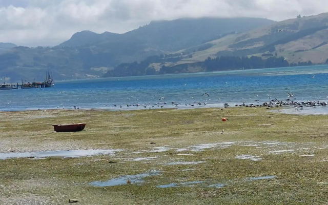 Otago Peninsula Paradise