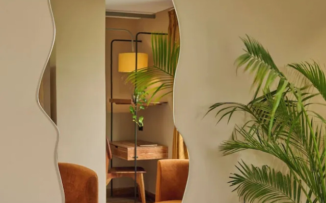 Minimalist - The Varanasi Edit