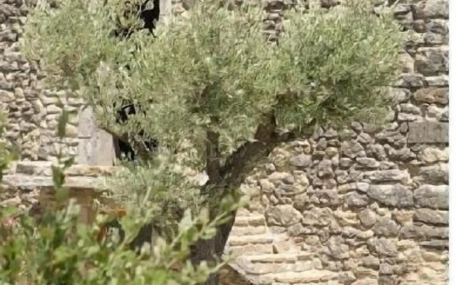 Domaine de Cousignac