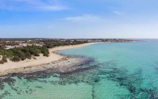 1282 B B Dreams and Delights - Double View Quadrupla