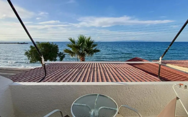 Hotel Beach Amaryllis