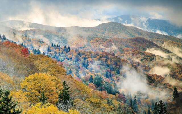 651 Country Oaks Dr Cabin