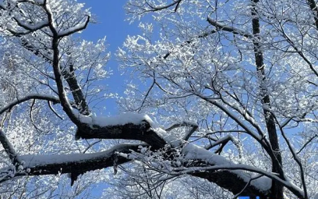 Xiangye · Qitinxue The Beauty of The East Snow View Homestay (Snow Town Scenic Area) – Outside – Harbin
