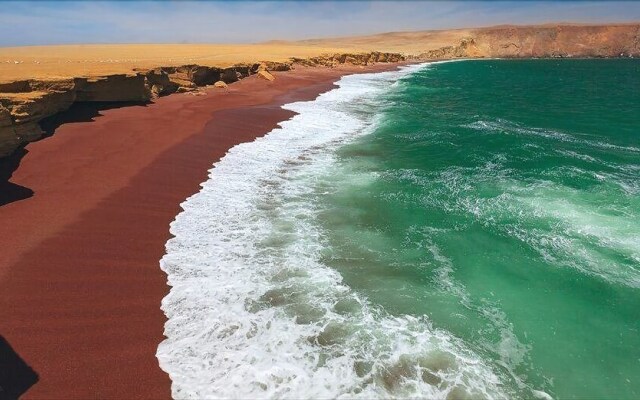 The Zarcillo Paradise