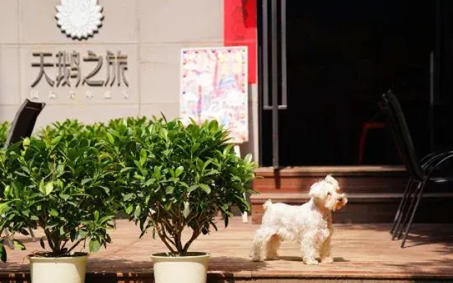 Tian'e zhilv International Youth Hostel