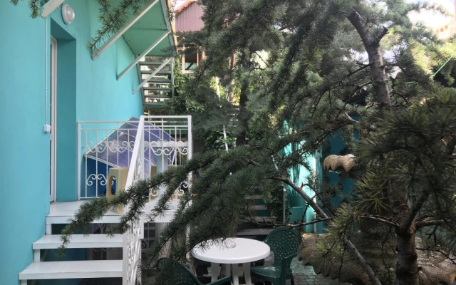 Magic Patio